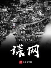 谍网[精校版]